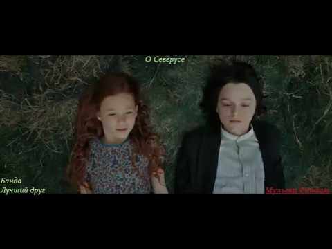 Видео: Что Лили Поттер  (Эванс) думает о других