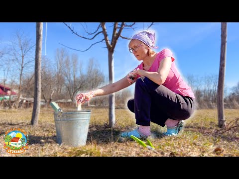 Видео: ОБЫЧНАЯ ЖИЗНЬ ПРОСТЫХ ЛЮДЕЙ В ДЕРЕВНЕ! Первые Весенние Работы В Саду!