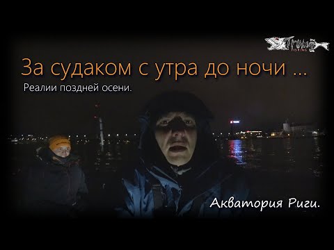 Видео: За судаком с утра до ночи ... Реалии поздней осени. Акватория Риги.