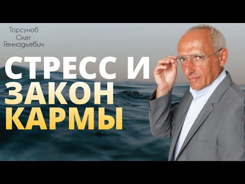 Видео: Стресс и закон кармы. Торсунов О. Г.