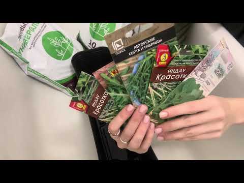 Видео: Создаю огород на подоконнике