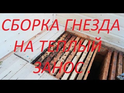 Видео: Гнездо на теплый занос в зиму.