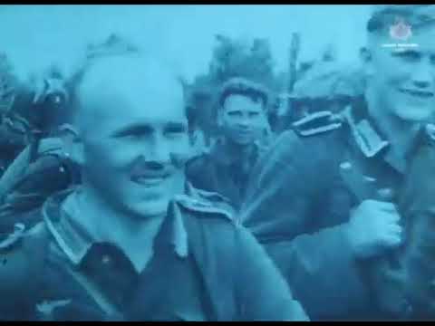 Видео: «КАИНОВЫ СЛЁЗЫ», Советский мультфильм 1980г.