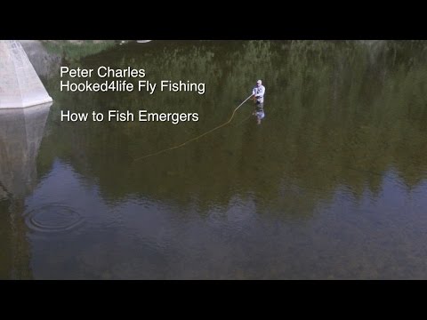 Видео: Как ловить форель на эмерджерах