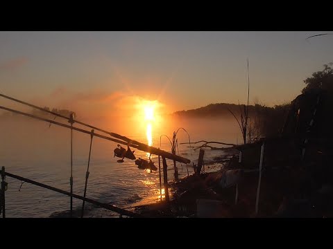 Видео: Крупный Осенний Карась. Ночная рыбалка