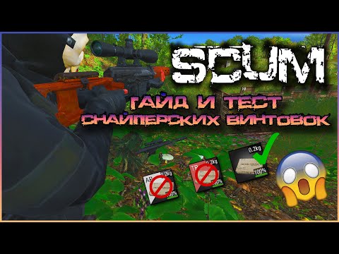 Видео: ТАКОГО МЫ НЕ ОЖИДАЛИ | Scum ГАЙД | ТЕСТ СНАЙПЕРСКИХ ВИНТОВОК | Scum игра