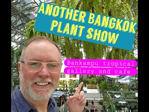 Видео: Лучшая выставка папоротников в Бангкоке (5-е место)