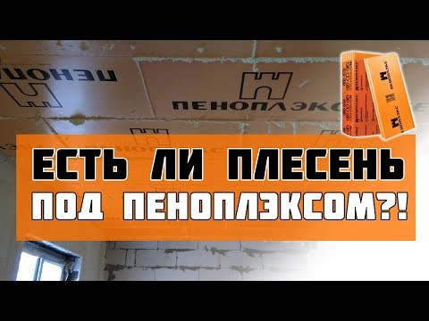 Видео: Пеноплэкс спустя 3 года - появится ли плесень? Утепляем потолок изнутри!