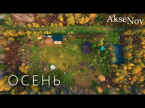 Видео: Обустройство Дачного Участка | Осень 2021