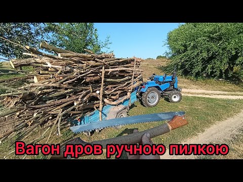 Видео: Так дрова вже ніхто не заготовляє, ручною пилкою напиляв за дві години