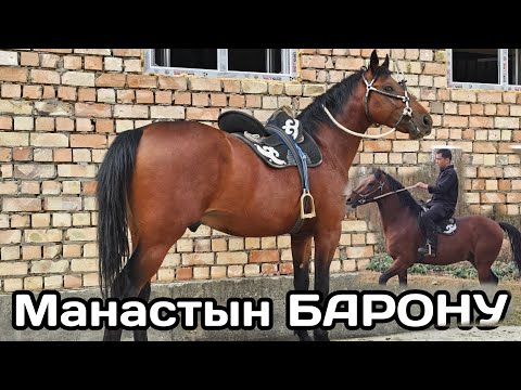 Видео: Манастагы БАРОН 🔥ӨРТ АТ ЭКЕН