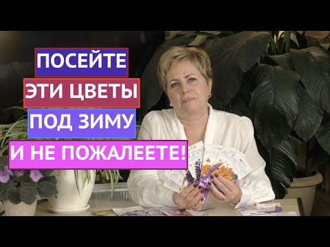 Видео: ДОЛГОЖДАННЫЙ РОЛИК: КАКИЕ ЦВЕТЫ МОЖНО ПОСЕЯТЬ ПОД ЗИМУ!