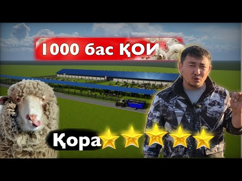 Видео: 1000 бас қой қора 0 ден салуну жолы (3d чертеж для крс)кормороздатчик ,Дробилка,4 сала,бұқа қора