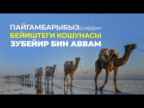 Видео: Пайгамбарыбыз савдын бейиштеги кошунасы – Зубейир бин Аввам