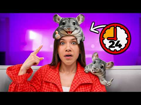 Видео: 24 Часа с Шиншиллой Черри / Вики Шоу