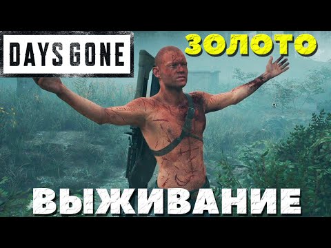 Видео: Days Gone(Жизнь После) - Я взял ЗОЛОТО! Испытание Выживание!