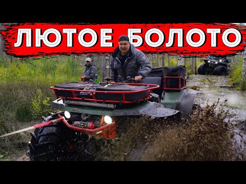 Видео: Маршрут через болота - техника не выдержала!     #болото #квадроцикл #сокол #offroad #mud