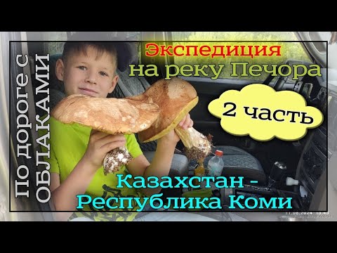 Видео: Республика Коми 11 августа 2024 год