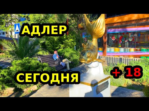Видео: Адлер 19.05.2025  | ОБСТАНОВКА НА МОРЕ СЕГОДНЯ  | + 18 скоро сезон
