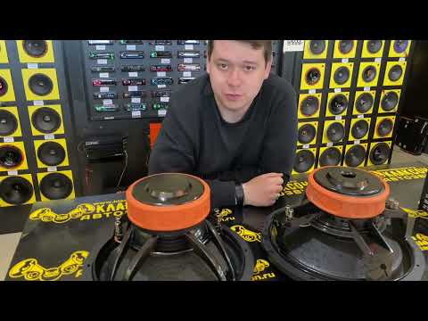 Видео: Обзор и прослушка сабвуфера DL Audio Raven 15 v.2😱