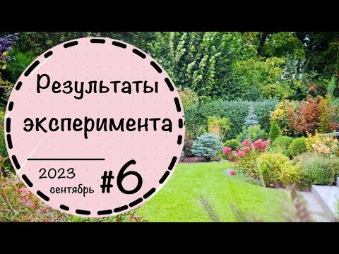 Видео: ☘️Прогулка по саду - 6 ☘️Как выглядит балкон☘️Сад в сентябре 2023 ☘️Купила новые растения☘️