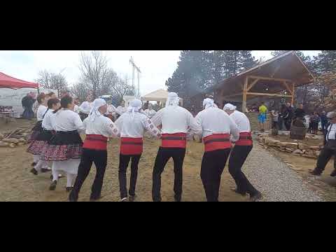 Видео: Право тракийско с щеркольовата