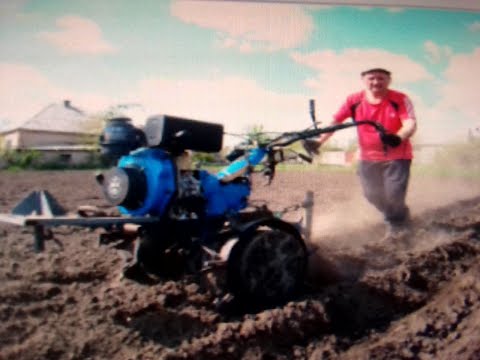 Видео: посадка картофеля продолжается часть 2.