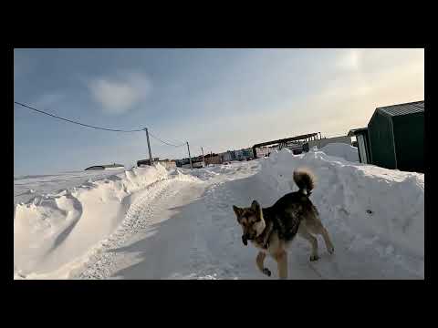 Видео: 🙋‍♂️ ПРОГУЛКА ПО УГОЛЬНЫМ КОПЯМ / ЧУКОТКА /КРАЙНИЙ СЕВЕР