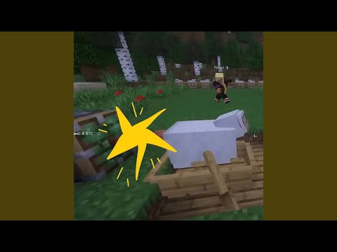 Видео: Сатоши