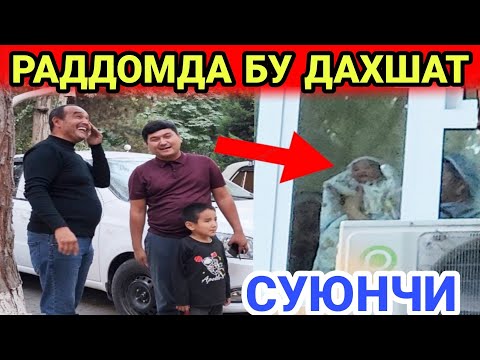 Видео: РАДДОМДА ЮТУБ ЛАРЗАГА КЕЛДИ....ЧАКАЛОК ДАДАСИГА УХШАЙДИМИ😭😭