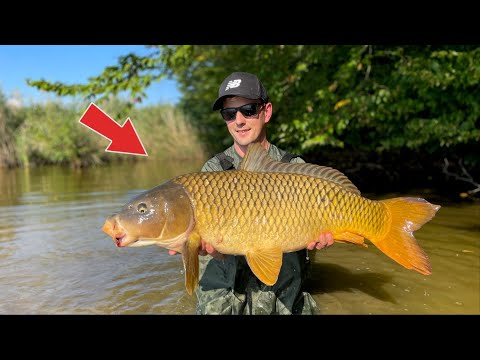 Видео: РИБАЛКА В ЗАТОПЛЕНОМУ ЛІСІ - Вся риба в цих корчах
