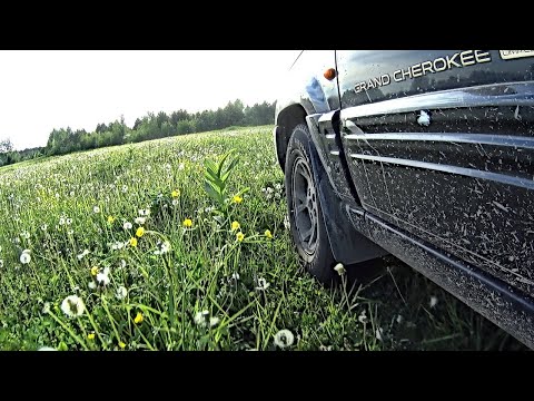 Видео: Поехали за вениками берёзовыми, а набрали сосновых шишек и клещей. Бытовуха лесная короче говоря...