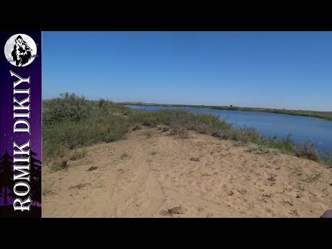 Видео: Змееголов Топарских озёр 2025г. Второй выезд