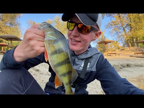 Видео: ОКУНЬ ГІГАНТ НА УЛЬТРАЛАЙТ! РИБАЛКА НА ВОРСКЛІ!