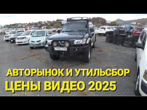 Видео: ЧТО СЕГОДНЯ С АВТОРЫНКАМИ И УТИЛЬСБОРАМИ В НАХОДКЕ, ЦЕНЫ ВИДЕО ОСЕНЬ 2025
