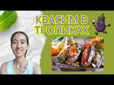Видео: Квасим в тропиках /