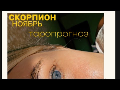 Видео: СКОРПИОН. ТАРОПРОГНОЗ. НОЯБРЬ. #тароshorts #чтонапороге #тароонлайн