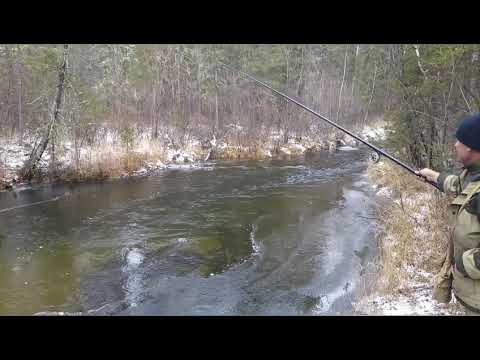 Видео: Рыбалка на ХАРИУСА. Черный ХАРИУС. Таких мы еще не встречали.