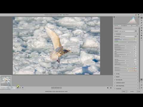 Видео: Основные установки Camera Raw