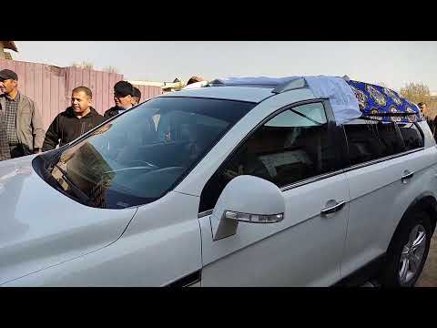 Видео: Санатбек- Кизи Шахризода FATIXA Tòyi-14.11.2025