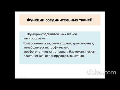 Видео: Лекция: "Соединительные ткани"