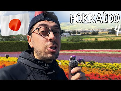 Видео: Невероятный туристический ум японцев... Наплыв в деревню! Асахикава, Фурано, Бией