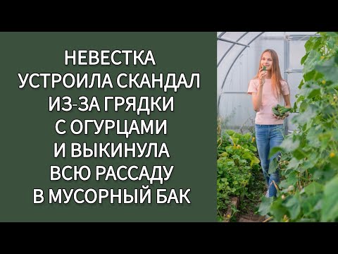 Видео: Невестка устроила скандал из-за грядки с огурцами и выкинула всю рассаду в мусорный бак. Жизненно