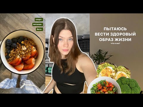 Видео: неделя здорового образа жизни *что я ем*