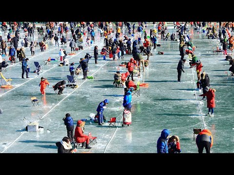 Видео: Удивительные навыки ловли гигантской рыбы ледяной реке. Самая быстрая сеть для ловли рыбы подо льдом