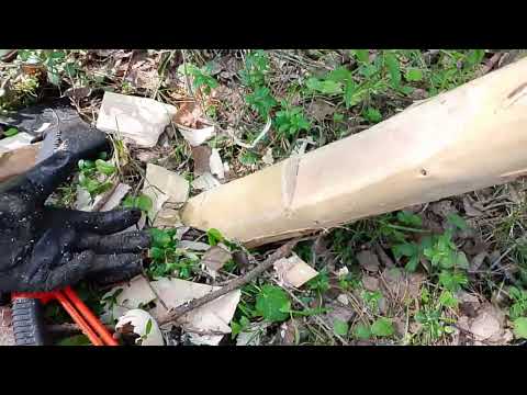 Видео: Отводы лесосек. Или можно ли жить полноценной жизнью без руки?