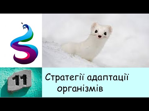 Видео: Стратегії адаптацій організмів.