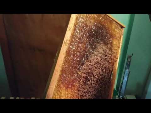 Видео: Стол для распечатки пчелиных рамок