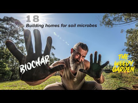 Видео: BIOCHAR — создание домов для почвенных микробов