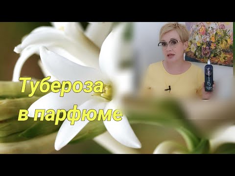 Видео: Самая красивая тубероза в парфюме! Мои фавориты!